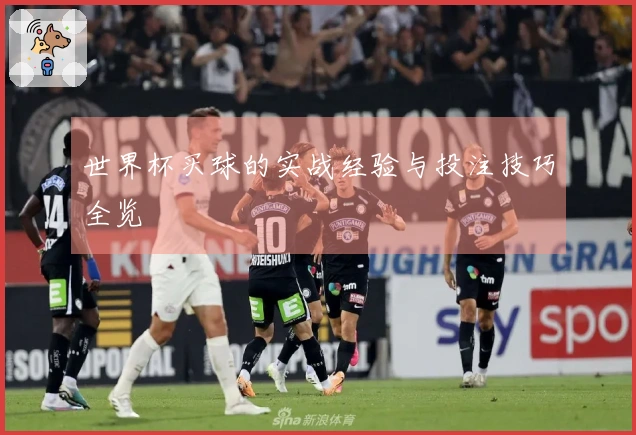 世界杯买球的实战经验与投注技巧全览