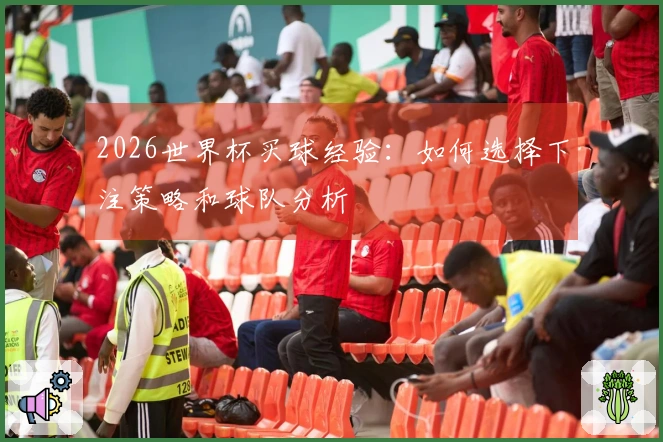 2026世界杯买球经验：如何选择下注策略和球队分析