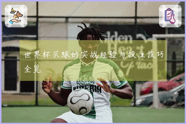 世界杯买球的实战经验与投注技巧全览